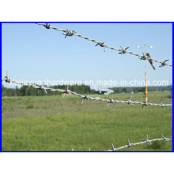 Galvanized Barbed Wire for Security Fence